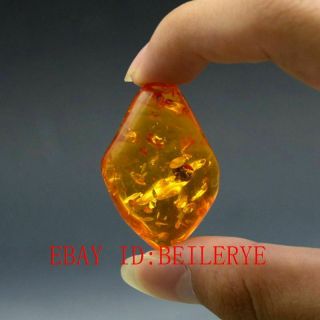 Fossil Ant Natural Burmite Amber 100 Million Years Old (untreated) 36ct B39