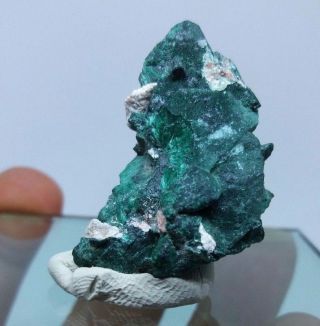 Malachite After Azurite Crystal.  Milpillas Mexico