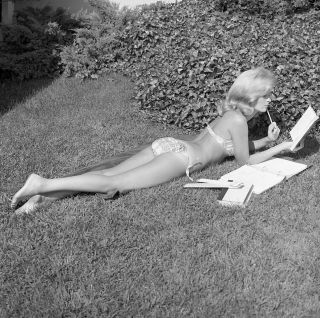 1960s Ron Vogel Negative,  Gorgeous Blonde Pin - Up Girl Dorothy Hagen,  T240570