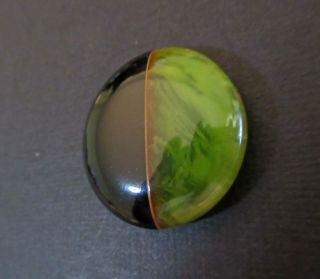 Vintage Marbled Green Bakelite/catalin Button