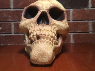 Large Foam Human Skull Halloween Prop