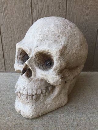 Huge 15 " Halloween Human Skull Outdoor Prop Decoration Plaster Concrete