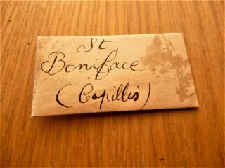 Folded Reliquaire Reliquary Reliquiario Relic Saint Boniface Capillis Hair