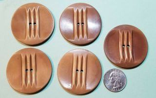 5 Vintage Large Beige Embossed Celluloid Wafer Coat Buttons - 1 3/4 " Across