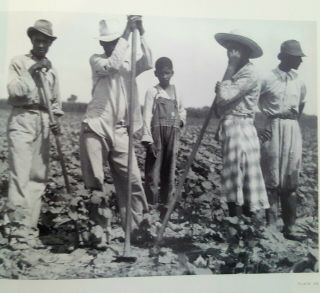 Brutal Negro Slavery Plantation Slaves Black Americana Black Farmers History Hcd