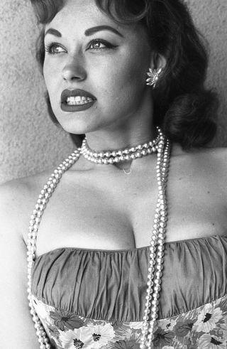 1960s Ron Vogel Negative,  Sexy Brunette Pin - Up Girl Donalda Jordan,  T234351