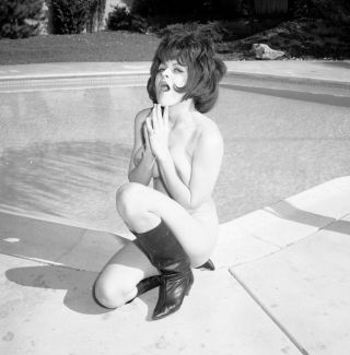 1960s Vogel Negative,  Gorgeous Nude Brunette Pin - Up Girl Cosette Cosen,  T35988