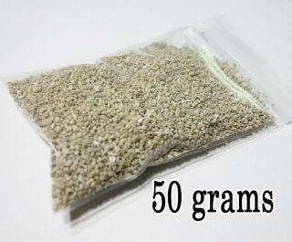 Star Sand Okinawa Japan - Star Sand Beach - Sand Sample 50 Grams (1.  76 Oz)