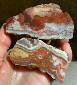 Mexican Crazy Lace Agate Rough