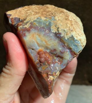 Mexican Crazy Lace Agate Rough 3