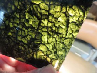 2.  8 Oz.  Slab Of A Green Olivine Peridot From Near Plain,  Washington