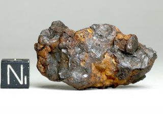 Meteorite Sericho - Sculpted Individual 27.  1g Pallasite Kenya