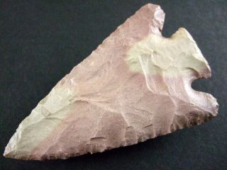 Fine Authentic 3 1/8  Collector Grade Tennessee Lost Lake Point Arrowheads