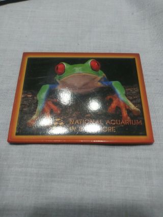 National Aquarium In Baltimore Maryland Frog Magnet