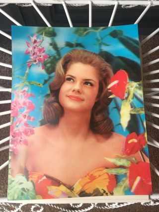Vintage Lenticular 3d Picutre Pin Up Girld Hawaiian Wc Jones 13 1/2 By 10 1/2 "