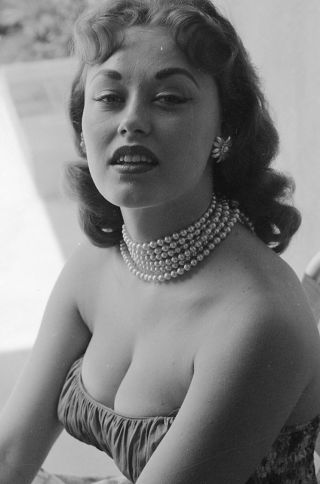 1960s Ron Vogel Negative,  Sexy Brunette Pin - Up Girl Donalda Jordan,  T236287