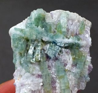 323 Carat Top Quality Saveral Tourmaline Crystal On Matrix @afg