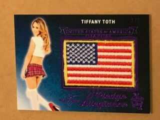 2018 Tiffany Toth Benchwarmer 2/2 Hot 4 Teacher I Pledge Allegiance Flag Card