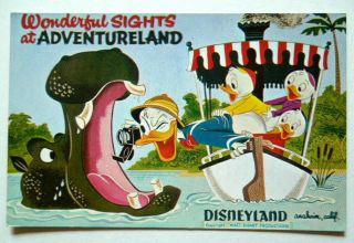 Un - Disneyland Art Corner Postcard Donald Duck With Kids Adventureland