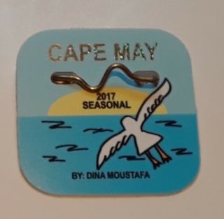 2017 Cape May Nj Seasonal Beach Tag