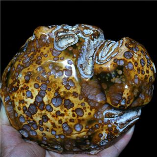 1050g Tumbled Rough Gemstone Specimen Banded Agate Stone Collector Botswana