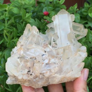 Natural White Quartz Crystal Cluster Mineral Specimen Healing 403g