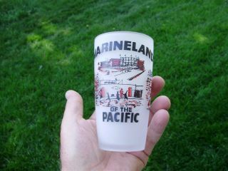 Vintage Marineland Of The Pacific Souvenir Frosted Glass Tumbler