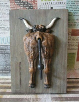 Country Western Home Decor Texas Longhorn Steer Bull Backside Wall Hook Hanger