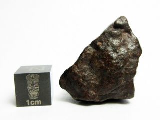 Nwa X Meteorite 20.  71g Superbly Shaped Shock Veined Stony Space Stone
