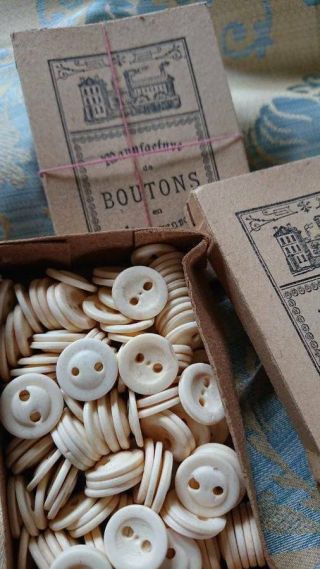 2 GORGEOUS BOXES ANTIQUE FRENCH BUTTONS c1890 4