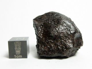 Nwa X Meteorite 27.  60g Superbly Shaped Stony Space Rock