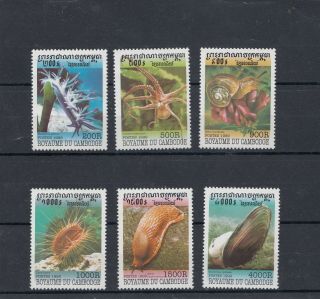Cambodia - 1999,  Molluscs (f011) Set Of Stamps A340 - Mnh