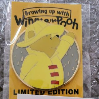 Winnie The Pooh Fantasy Profile Disney Pin Le 35 Raincoat
