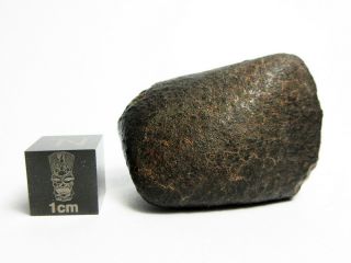 Nwa X Meteorite 22.  16g Cool Cosmic Chondrite