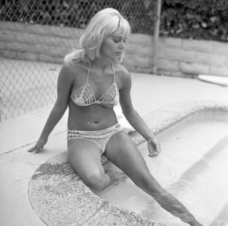 1960s Vogel Negative,  Sexy Blonde Pinup Girl Nancy Ayres In Knit Bikini,  T237397
