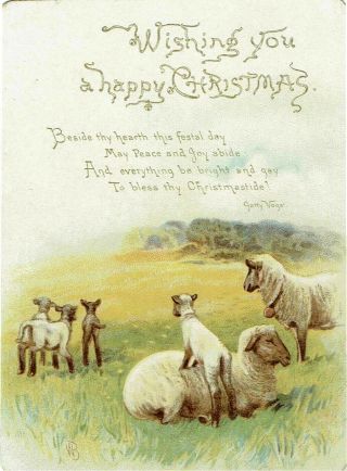 Raphael Tuck Victorian Christmas Greetings Card Lambs Sheep Religious Text