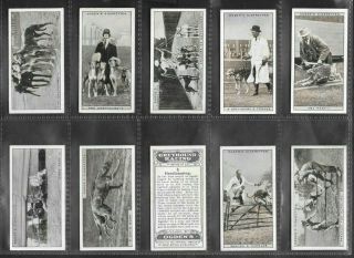 Ogdens 1927 Intriguing (sport) Full 25 Card Set  Greyhound Racing 1st