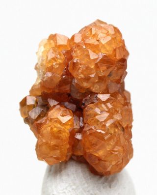 Garnet Crystal Cluster Mineral Specimen Spessartine Fujian Province China