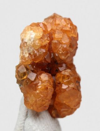 Garnet Crystal Cluster Mineral Specimen Spessartine FUJIAN PROVINCE CHINA 3
