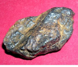 Nantan Meteorite: 11.  6 Gram Individual