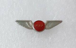 Boeing 737 Commercial Passenger Aircraft Pilot Wings Lapel Pin Badge