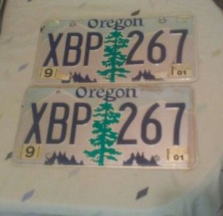 Set Of 2 Oregon License Plates Expired Tags Pine Tree Mountains 2001 Plate
