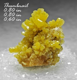 Pyromorphite Guangxi China Minerals Crystals Gems - Thn