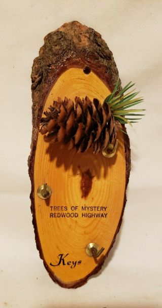 Vintage 1950s Key Wall Hanger Souvenir From Trees Of Mystery Redwood California
