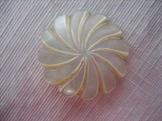 Vintage Large 1 - 1/2 " Carved Mop Mother Of Pearl Shell Pin Wheel Button - Ps2
