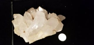 Arkansas Clear Quartz Crystal Cluster Mineral Specimen Coleman Mine