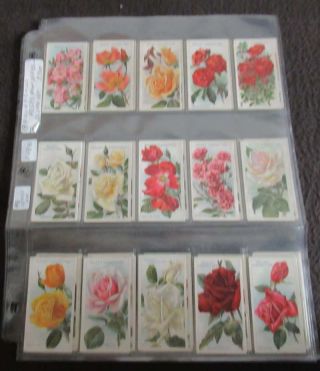 1914 W.  D.  H.  O.  Wills A Series Of Roses Set Of 50 Tobacco Cards 2nd Series Vl1413