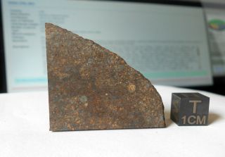 Meteorite Nwa 11038 (l3) - 8.  80 G