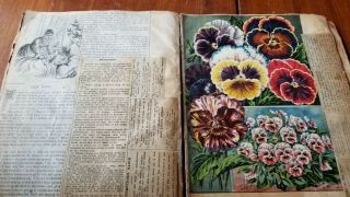 Antique Scrapbook Articles,  Diecut Flowers,  Fun 1890s