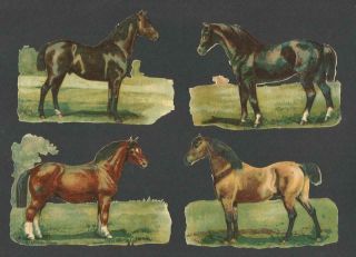 F24 - Horses - Diecut Edwardian Scraps - Alte Oblaten - Glanzbilder - Decoupis